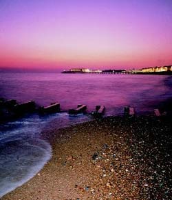 English Course Hastings