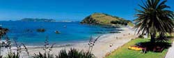 Language Schools New Zealand