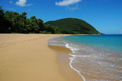 Cursos de idiomas en Guadeloupe