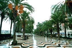 Kursy jezyka hiszpanskiego w Alicante