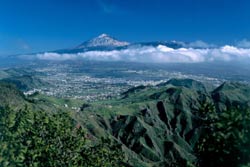 Language Schools Tenerife