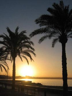 Cursos de Español Mallorca