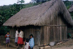 Language Schools Bolivia