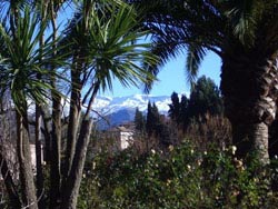 Sprachschulen in Granada