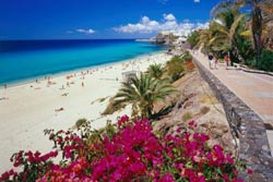 Language Schools Tenerife