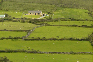 Englisch lernen im Haus des Lehrers in Irland