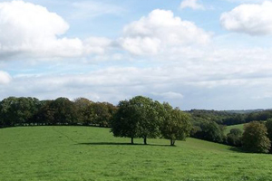 Englisch lernen im Haus des Lehrers in Buckinghamshire, England
