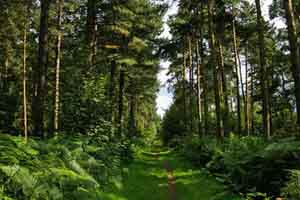  Lincolnshire UK