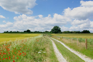  Sussex England