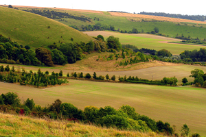 Englisch lernen in Wiltshire