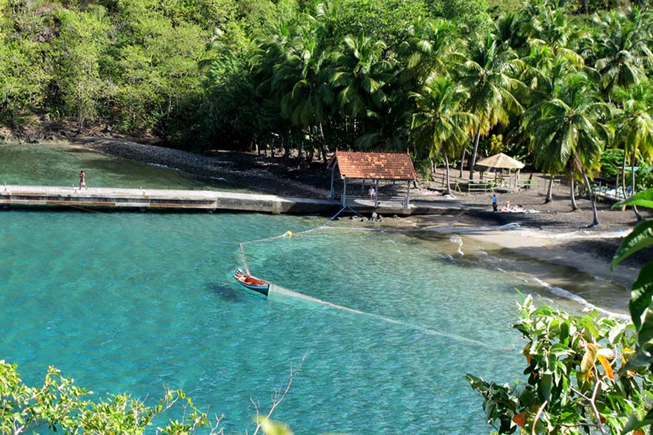 Sprachschule Martinique