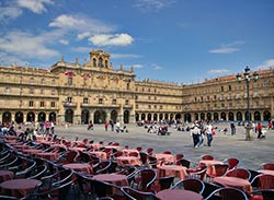 Salamanca, wer sieht den Frosch