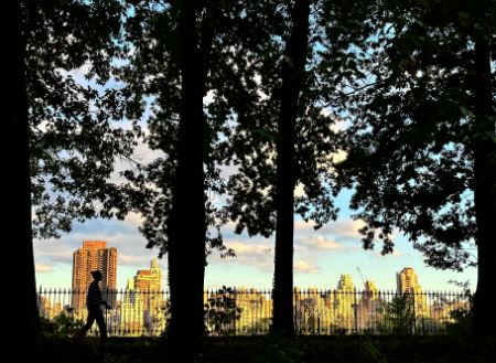 Sprachreise New York - Central Park