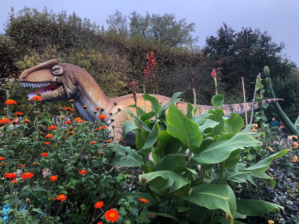 Rundreise Paris - Jardin du Plantes