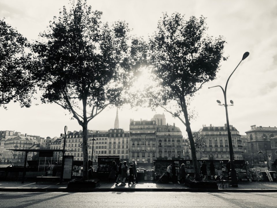 Rundreise Paris - Promenade and der Seine