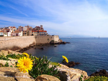 Sprachreisen Antibes