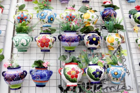 Rundreise Andalusien - Blumen in Cordoba
